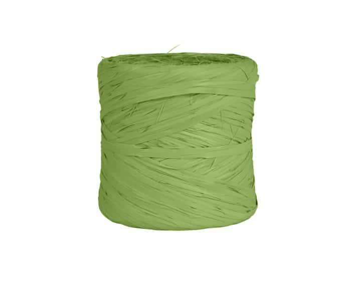 Raffia basic lint 200m | 03 muschi mos groen